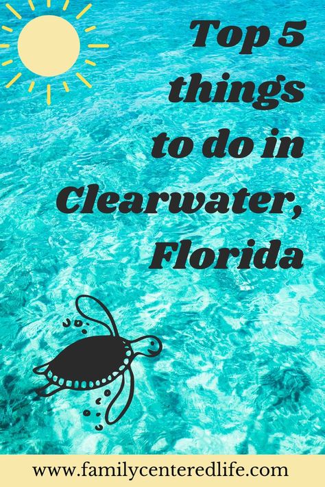 Here's Why Clearwater Beach, Florida is one of the best beaches in Florida! Clearwater Beach Florida In December, Florida Clearwater Beach, Things To Do In Clearwater Beach, Things To Do In Clearwater Florida, Clearwater Beach Florida Aesthetic, Clearwater Beach Florida Things To Do, Clear Water Beach Florida, Clear Water Florida, Clear Water Beach