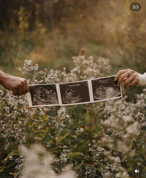 Pregnancy Announcement Photography, Fall Baby Announcement, Pregnancy Announcement Pictures, Pregnancy Announcement Photoshoot, Maternity Photography Poses Outdoors, Fall Pregnancy Announcement, Baby Announcement Photoshoot, Outdoor Maternity Photos, Maternity Photography Poses Couple