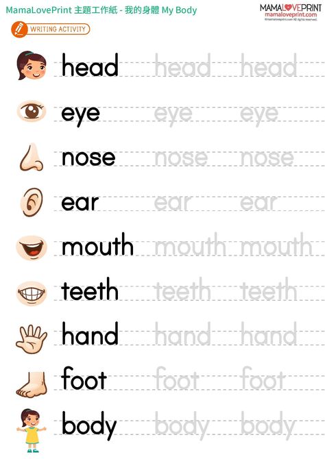 Printable Worksheets Activities includes number activites, alphabet activities, accounting activities, coloring activities and more. #printable #worksheet #activity #tracing #bookactivity Human Body Worksheets Kindergarten, Writing Kids Activities, Preschool Writing Activities Printables, How Many Worksheets For Kindergarten, English Kindergarten Activities, Worksheet English For Kindergarten, English For Kindergarten Worksheets, Parts Of The Body Worksheets Preschool, My Self Worksheets For Kids