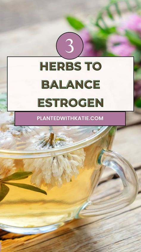 3 Herbs For Estrogen Balance Ways To Increase Estrogen Naturally, Balance Estrogen Naturally, Raising Estrogen Levels Naturally, Reduce Estrogen Naturally, Best Tea For Hormone Balance, Herbs To Increase Estrogen, Raise Estrogen Levels Naturally, Herbs For Hormones, How To Increase Estrogen Naturally