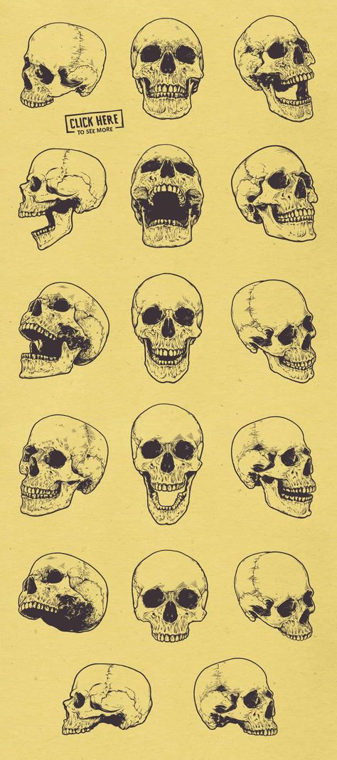 Vintage Fonts and Designs Bundle: 100+ Fonts with Commercial Use  #design #vintage #fonts #patterns #backgrounds #antique #retro #commerciallicense #society6 #etsy #pixelo Skull Anatomy, Skull Reference, Skull Sketch, Different Eras, Texture Illustration, Skeleton Drawings, Vintage Nostalgia, Skulls Drawing, Human Anatomy Drawing