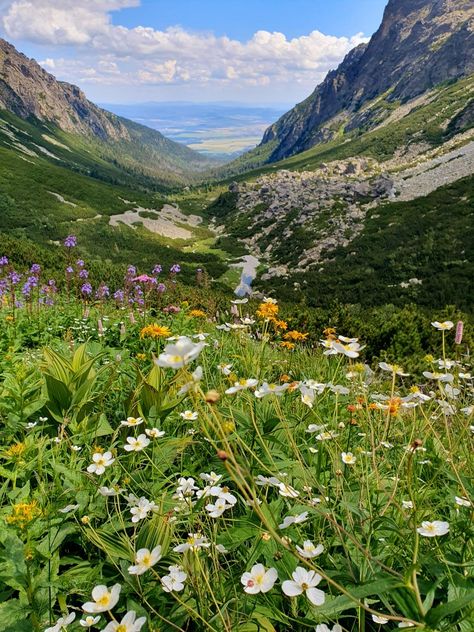 High Tatras, Slovakia High Tatras, Gods Creation, Pure Beauty, Slovakia, Hiking, Natural Landmarks, Pure Products, Collage, Travel