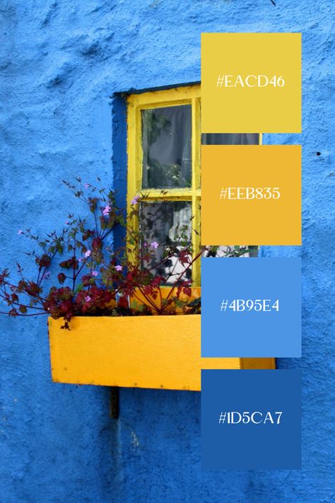 This Blue and Yellow palette features a vibrant blue wall with a contrasting yellow window frame. The bold blue texture of the wall creates a striking background, while the yellow window box adds a pop of color with its delicate flowers, creating a cheerful and lively scene. Yellow Blue Color Palette, Cobalt Blue Color Palette, Blue Yellow Color Palette, Persona Moodboard, Yellow And Blue Color Palette, Blue And Yellow Palette, Cheerful Color Palette, Color Scheme Generator, Yellow Window