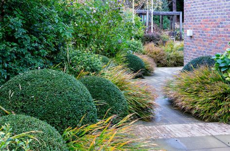 Contemporary Garden, Surrey | Elks-Smith Ilex Crenata, Taxus Baccata, Brick Detail, Front Garden Landscape, Minimalist Garden, Planting Plan, Contemporary Garden, The Seasons, Shade Garden