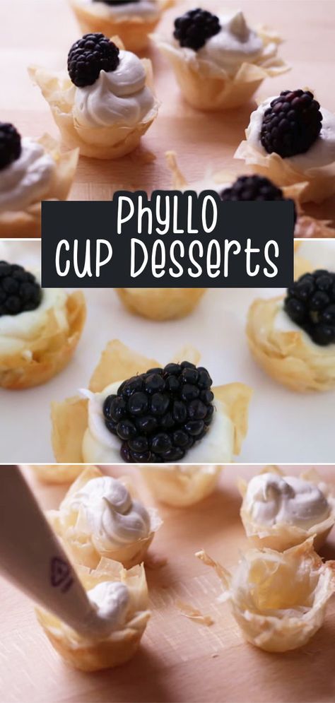 Take a bite of these Mini Phyllo tarts which takes less than 15 minutes to prepare! The sweetened cream cheese and flaky phyllo dough go perfectly together plus a fresh punch of fruit garnish in every bite! . . . . #fruitcups #pastrybites #easyrecipes #minipies #phyllotarts #desserts #minifruittart Appetizers Phyllo Cups, Garden Party Desserts, Blueberry Punch, Phyllo Desserts, Tarts Dessert, Easy Fruit Tart, Desserts Mini, Mini Fruit Tarts, Fruit Garnish