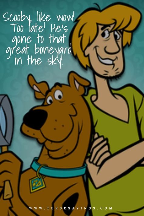 Scooby Doo Quotes, Scooby Doo And Shaggy, American Cartoons, Hes Gone, Cartoon Series, The Cartoon, Cartoons Series, Catch Phrase, Funny Movies