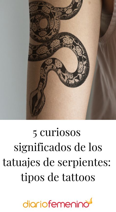 Principales tipos de diseños de tatuajes de serpientes 🐍 #tatuajesdeserpientes #tattooserpiente #tattodesign #diseñosdetatuajes #DiarioFemenino Ball Python, Python, Skull Tattoo, Piercings, Tattoos, Halloween