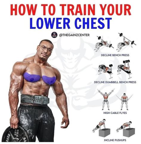 Lower Chest Exercises, Upper Chest Workout, Bodybuilding Women, Gym Routines, Chest Workout Routine, Chest Exercises, Hardcore Workout, Best Workout Plan, Gym Workout Chart