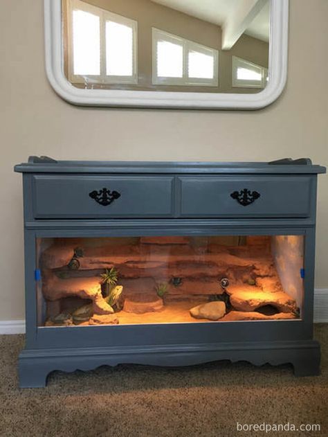 A Dresser Turned Into A Lizard Terrarium! Tartaruga Habitat, Dresser Remodel, Lizard Terrarium, Bearded Dragon Diy, Diy Reptile, Snake Terrarium, Bearded Dragon Terrarium, Bearded Dragon Enclosure, Bearded Dragon Cage