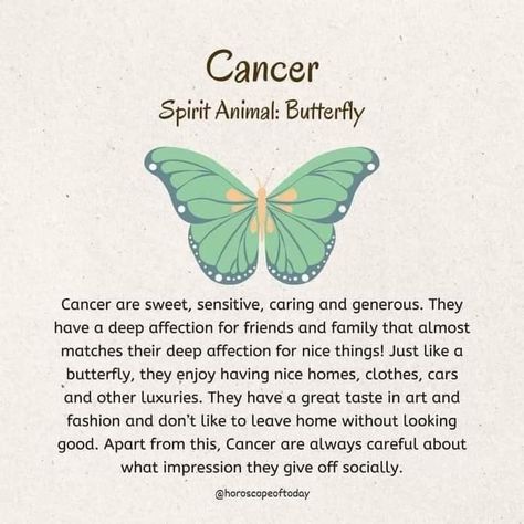 Celtic Zodiac, Animal Butterfly, Grunge Posters, Astrology And Horoscopes, Zodiac Sign Traits, Zodiac Signs Funny, Zodiac Facts, Spirit Animal, About Me