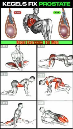 Mens Kegel Exercises, Back Exercises For Men, Kegel Exercises For Men Workout, Men Workout, Kegel For Men Exercise Tips, Working Out, Back Workout For Men, Men’s Kegal Exercises, Men’s Pelvic Floor Exercises