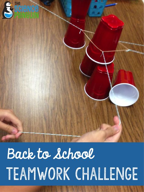 Back to School Teamwork Activity: cup stacking challenge! Ffa Projects, Teamwork Games, Teamwork Activities, The Science Penguin, Building Games For Kids, Fun Team Building Activities, Science Penguin, Team Building Games, Youth Games