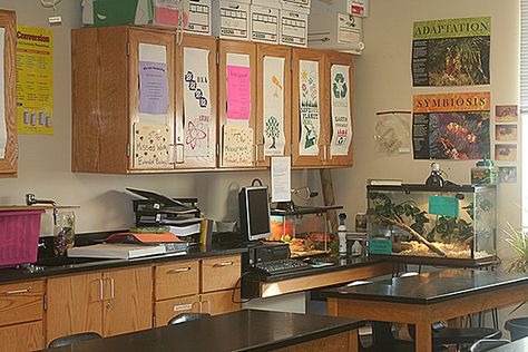 Teacher Aesthetic Science, Teachers Desk Aesthetic, Science Teacher Aesthetic Classroom, Chesney Core, Science Room Aesthetic, Science Classroom Aesthetic, Teacher Core Aesthetic, 2000s Classroom, Science Class Aesthetic