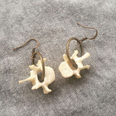 $15.00 Skunk Vertebrae Earrings Deer Bone Jewelry, Vertebrae Jewelry, Vertebrae Earrings, Animal Bone Jewelry, Taxidermy Jewelry, Goblincore Aesthetic, Bone Crafts, Vulture Culture, Bone Earrings