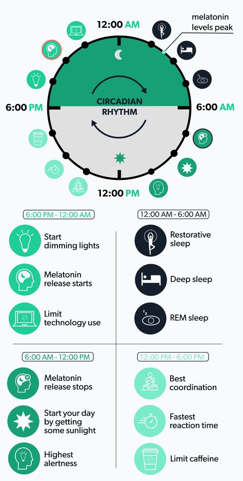 The sleep cycle is divided into five distinct stages of sleep and each of these stages has its own effects on the body. Learn more. 10 3 2 1 0 Sleep Rule, Sleep Cycle Chart, Psychology Journal, Rem Sleep Cycle, Sleep Inertia, Health Illustration, Sleep Chart, Sleep Phases, Sleep Disorder