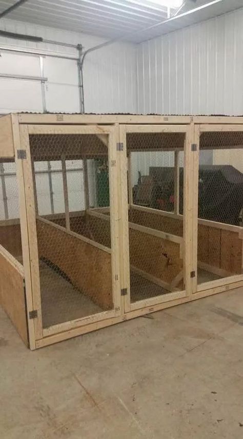 Silkie Breeding Pens, Gamefowl Cages, Rooster Cages Ideas, Chicken Coop Breeding Pens, Breeding Pens For Chickens, Carport Chicken Coop Ideas, Serama Chicken Coop, Rooster Coop, Chicken Breeder Pens