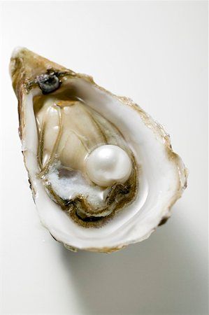 Shell Outline, Oyster With Pearl, Dragons Crown, Stippling Art, Fresh Oysters, Summer Wines, Oyster Pearl, Exotic Fish, Ap Art