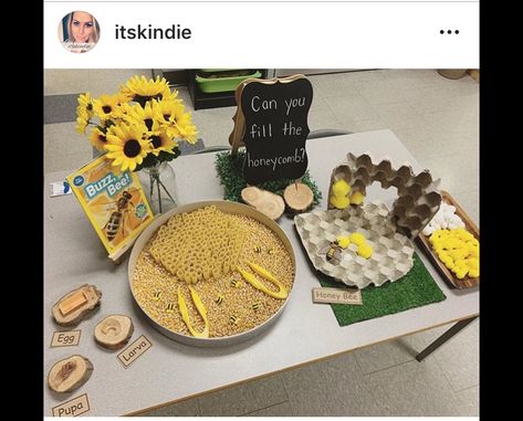 Bee Day Eyfs, Bee Provocations, Sunflower Eyfs Activities, Sunflower Provocation, Bee Activities Eyfs, Bee Sensory Activities, Mini Beast Activities Eyfs, World Bee Day Activities For Kids, Mini Beasts Eyfs