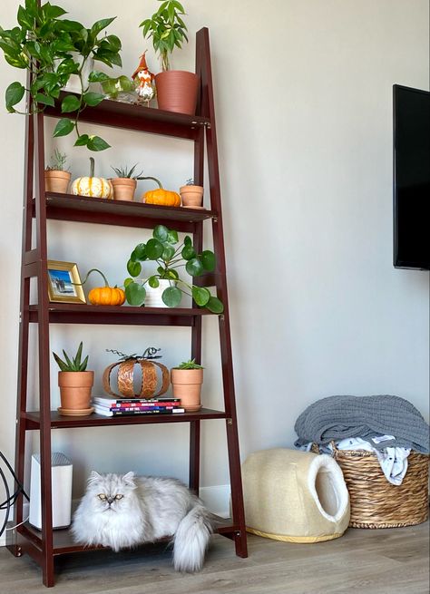 Ladder Shelves Decor, Shelf Decor With Plants, Decorating Ladder Shelves, Ladder Shelf Styling, Ladder Shelf Decor Living Room, Shelf Fall Decor, Fall Bookshelf Decor, Fall Decor Ideas For Apartments, Decor Ladder