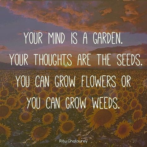 Sunflower Quotes, Garden Quotes, Flower Quotes, Stop Working, Growing Flowers, Good Advice, Positive Thoughts, A Garden, Inspirational Words