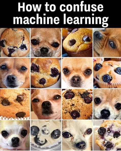 Every algorithm's arch nemesis!🤣 Arch Nemesis, July 16, Machine Learning, Arch, Memes, On Instagram, Quick Saves, Instagram