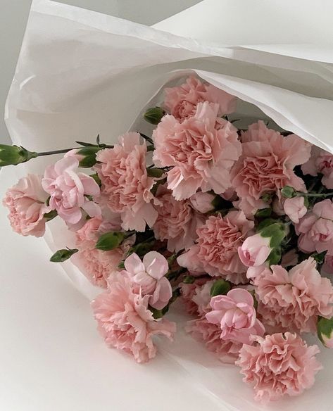 Pink Carnation Aesthetic, Boquette Flowers, Korean Japanese, Light Pink Flowers, Pink Carnations, Nothing But Flowers, Flower Therapy, Japanese Flowers, Pink Bouquet