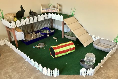 Cute Rabbit Setup, Bunny Play Area, Bunny X Pen Set Up, Rabbit X Pen Setup, Bedroom Rabbit Setup, Bunny Room Indoor Rabbit Play Areas, Bunny Play Pen, Rabbit Playground, Rabbit Pen