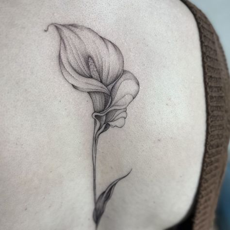 Calla Lily 🤍 . . . . . . . . . . #tattoolover #tattooedgirls #firsttattoo #tattoouk #tattoonortheast #tattoonewcastle #tattoonewcastleupontyne #tattooedmodels #floraltattoo #finelinetattoo #realismtattoo #botanicaltattoo #killerinktattoosupplies #killerinktattoo #flowertattoo Calililly Flower Tattoos, Calalillies Tattoo, Lily Flower Tattoo Designs, Calla Lily Tattoo, Lilly Flower Tattoo, Lily Tattoos, Hand Tattoo Designs, Lillies Tattoo, Lily Tattoo Design