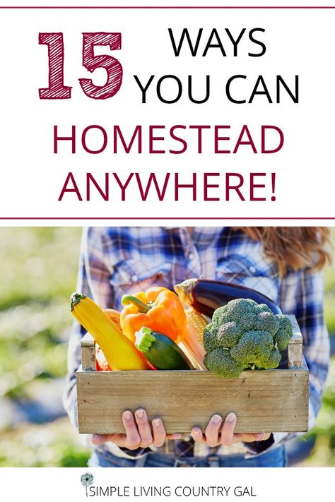 Homestead Books, Homestead Mom, Homesteading Books, Garden Canning, Homesteading For Beginners, City Gardens, Farm Books, Homesteading Diy, Homesteading Skills