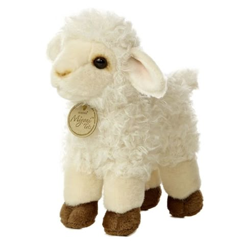 Lamb Stuffed Animal, Pet Sheep, Baby Sheep, Baby Lamb, Plushie Patterns, Cute Plushies, Baby Goats, Small Baby, Cute Stuffed Animals