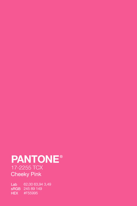 Step into a world of vibrant sophistication with PANTONE Cheeky Pink! 💕 Infuse your surroundings with the playful charm of this trendy hue, adding a touch of elegance to every aspect of your life. From fashion to home decor, Cheeky Pink brings a refreshing burst of energy and positivity. Embrace the spirit of joie de vivre as you explore the endless possibilities of this delightful color. 💖✨ 🌸 #PANTONE #CheekyPink #ColorfulLiving #FashionForward #HomeDecor Pink Swatches Colour Palettes, Bright Pink Pantone, Pink Colors Shades, Pantone Pink Shades, Hot Pink Branding, Pantone Rose, Neon Color Palette, Pink Pantone, Raspberry Pink Color