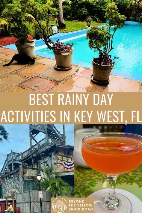 When it does rain in Key West, these indoor activities like museums, classes, family activities, house tours, and food and drink will keep you busy for your entire rainy day. Key West Activities, Indoor Family, Key Lime Juice, Northern Minnesota, West Art, Key West Florida, Rainy Day Activities, Famous Americans, House Museum