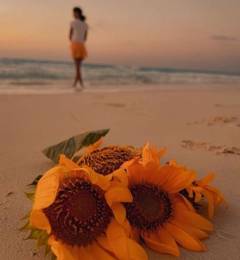 Vibe Alone, Aesthetic Photoshoot, Sea Summer, Summer Yellow, Wallpaper Ideas, Beach Sunset, Photoshoot Ideas, Fall Vibes, Van Gogh