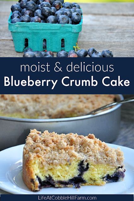 Blueberry Crumb Cake Gluten Free Blueberry Desserts, Date Nut Bread, Blueberry Crumb Cake, Blueberry Topping, Blueberry Coffee, Blueberry Coffee Cake, Pumpkin Spice Muffins, Blueberry Crumble, Blueberry Desserts