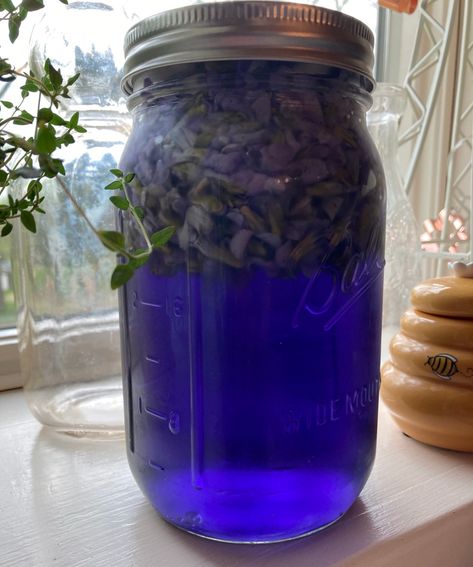 Violet Unicorn Jelly – Slightly Off the Grid Violet Jelly Recipe, Violet Jam, Violet Jelly, Fairy Tea Party, Flower Recipes, Wild Violets, How To Make Jelly, Fairy Tea Parties, Finger Sandwiches