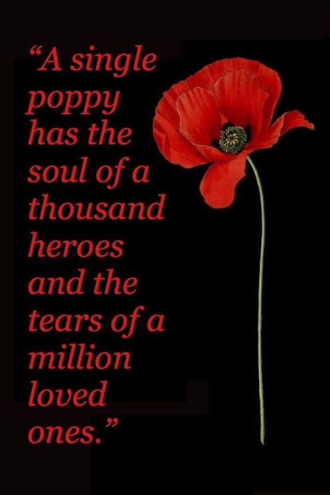 Poppy remembrance Remembrance Day Images, Remembrance Day Photos, Remembrance Day Poems, Remembrance Day Pictures, Remembrance Day Quotes, Memorial Day Poppies, Remembrance Day Posters, Remembrance Quotes, Remembrance Day Art