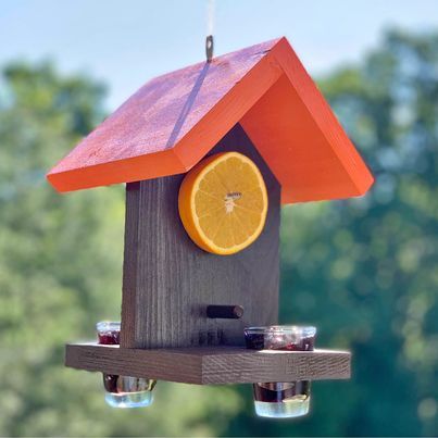 DIY oriole bird feeder Oriole Feeders Homemade, Oriel Feeder Diy Jelly, Diy Oriole Feeder, Diy Bird Feeders Homemade, Oriole Bird Feeders Diy, Picket Projects, Oriole Bird Feeders, Backyard Birds Feeders, 4h Ideas