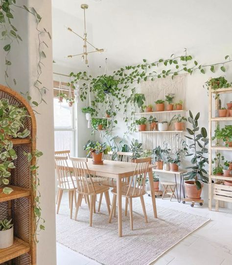 Indoor Plant Shelves, Different House Styles, Dining Room Shelves, Indoor Plant Wall, Hanging Plant Wall, Living Room Plants, Plant Shelf, Plant Decor Indoor, Interior Plants