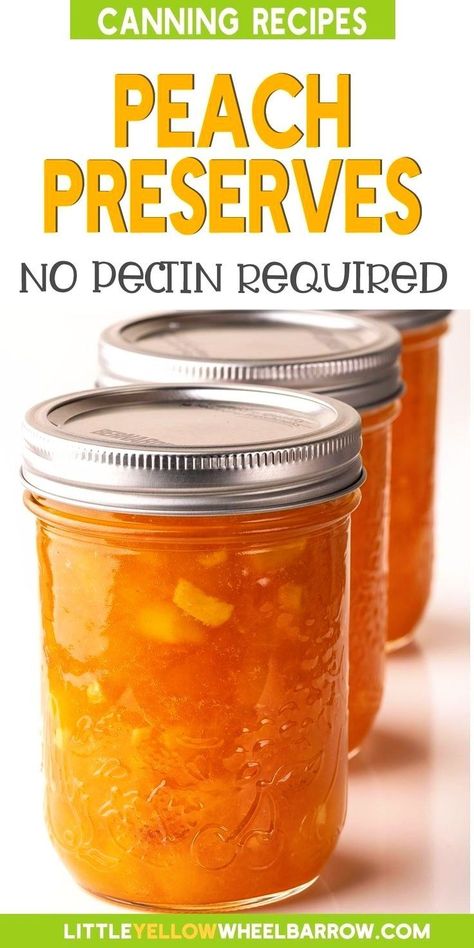 Peach Preserves Recipe, Peach Jam Recipe, Easy Canning, Canning Peaches, Peach Jelly, Home Canning Recipes, Peach Preserves, Canning Recipe, Jam Recipes Homemade