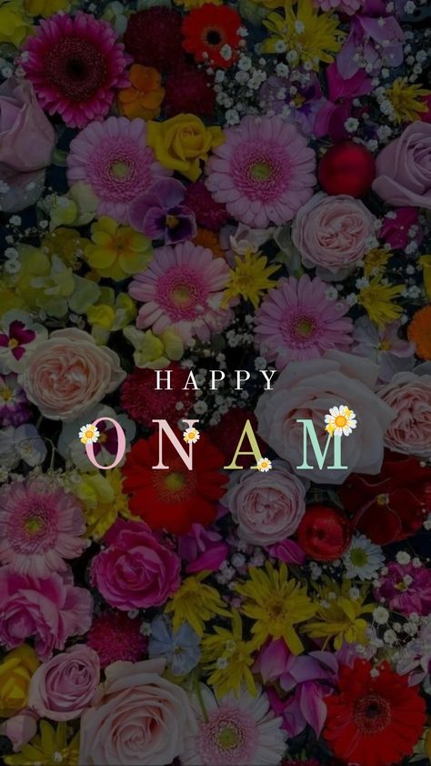 Onam wallpaper instagram story ideas✨ onam kerala Onam Story Layout, Happy Onam Video Status, Onam Story Ideas, Onam Wallpaper, Onam Photos, Onam Kerala, Cute Henna Designs, Cute Henna, Happy Onam