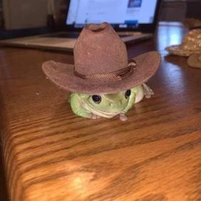 A Frog, Cowboy, Laptop, On Twitter, Twitter, Green