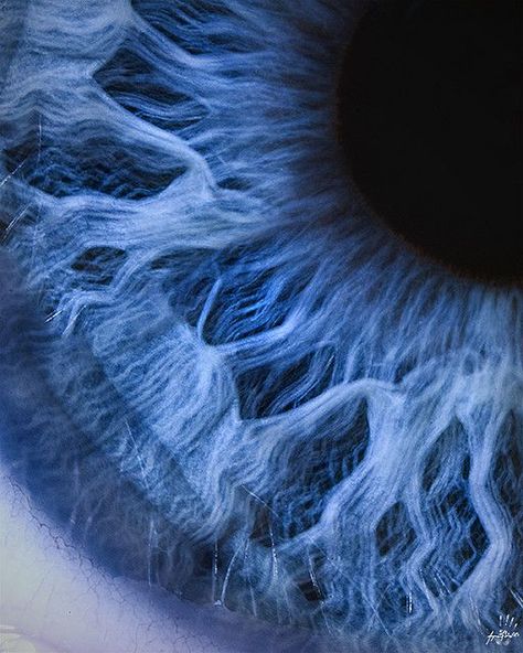 Macro Photography Eyes, Macro Fotografie, Blue Eyes Aesthetic, Close Up Art, Foto Macro, Macro Photography Nature, Iris Art, Eye Close Up, Texture Photography