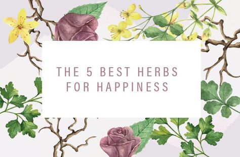 Herbalist Rachelle Robinett reveals 5 plants that can elevate your mood and reduce stress, plus tips on how to use them most effectively. Herbs For Happiness, Living Naturally, Vegetables For Babies, Expensive Beauty Products, Aroma Therapy, Eye Exercises, Adaptogenic Herbs, Spa Water, Health Nut