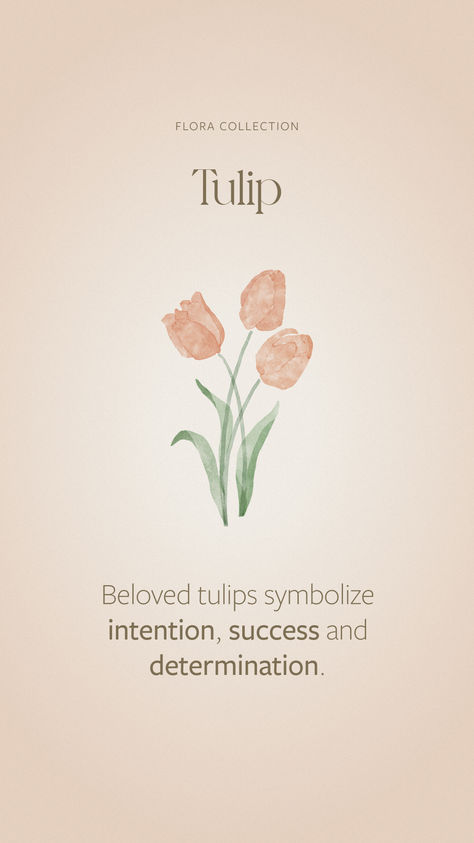 Tulips Meaning Language Of Flowers, Flower Affirmations, Tulip Meaning, Flowers Language, Tulip Jewelry, Tulips Meaning, Flower Symbolism, Flower Dictionary, Floral Photos