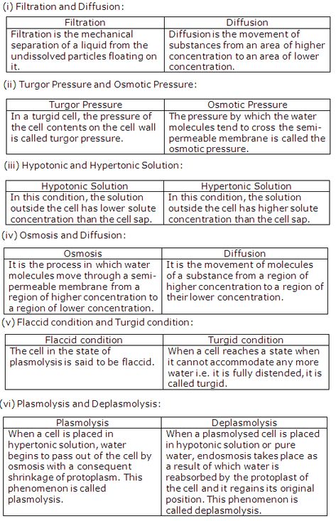 Chapter 4 Absorption by Roots - Frank Modern Certificate Solutions for Class 10 Biology ICSE - TopperLearning Absorption By Roots Biology Notes, Icse Class 10 Biology Notes, Icse Class 10 Tips, Bio Diagrams, Biology Class 12, Biology Diagrams, Osmotic Pressure, Plasma Membrane, Nutrition Classes