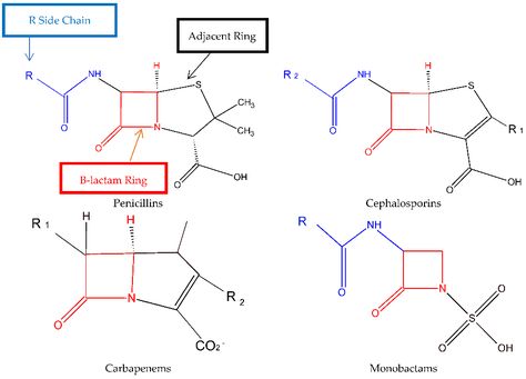 Pharmacy | Free Full-Text | The Basics of Penicillin Allergy: What A Clinician Should Know Penicillin Allergy, Antimicrobial Resistance, Cohort Study, Allergy Asthma, Infectious Diseases, Google Scholar, Meta Analysis, American Heart Association, Second Line