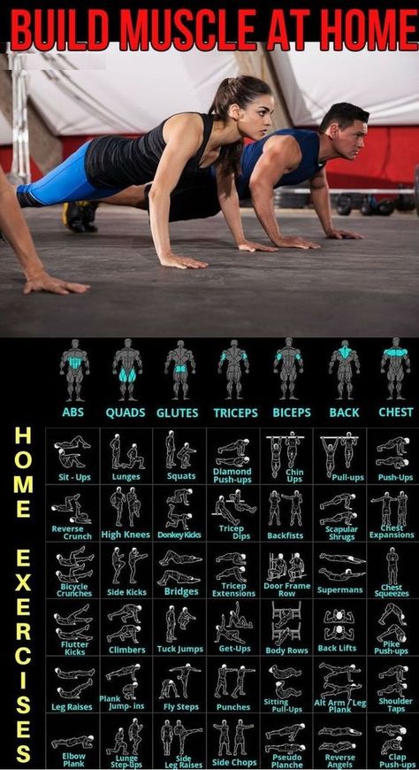 Muscle Building Workouts At Home, Muscle At Home, Resistance Exercises, Body Weight Workout Plan, Latihan Dada, Gym Antrenmanları, Gym Workout Chart, Trening Fitness, Calisthenics Workout