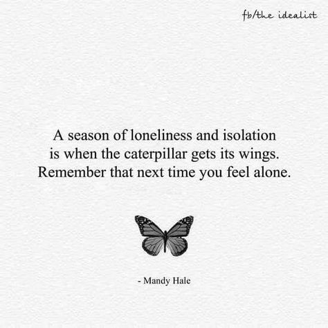 Metamorphosis. Metamorphosis Quotes, Caterpillar Quotes, Overcoming Quotes, Blessed Girl, Lowering Blood Pressure, My Daily Life, Butterfly Quotes, Gothic Romance, Fav Quotes