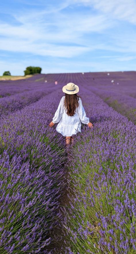 Lavender Farm Photoshoot Outfit, Lavender Feild Pic, Lavander Photoshoot, Lavender Farm Photoshoot, Farm Picture Ideas, Lavender Fields Photography, Photoshoot London, Lavender Perfume, Photoshoot Summer