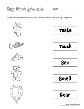 A printable five senses matching worksheet for preschool students and teachers. Five Senses Kindergarten, Senses Activity, 5 Senses Worksheet, Five Senses Worksheet, Five Senses Preschool, Preschool Activity Sheets, 5 Senses Activities, Senses Preschool, My Five Senses